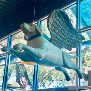 Meet your Posher, Elise